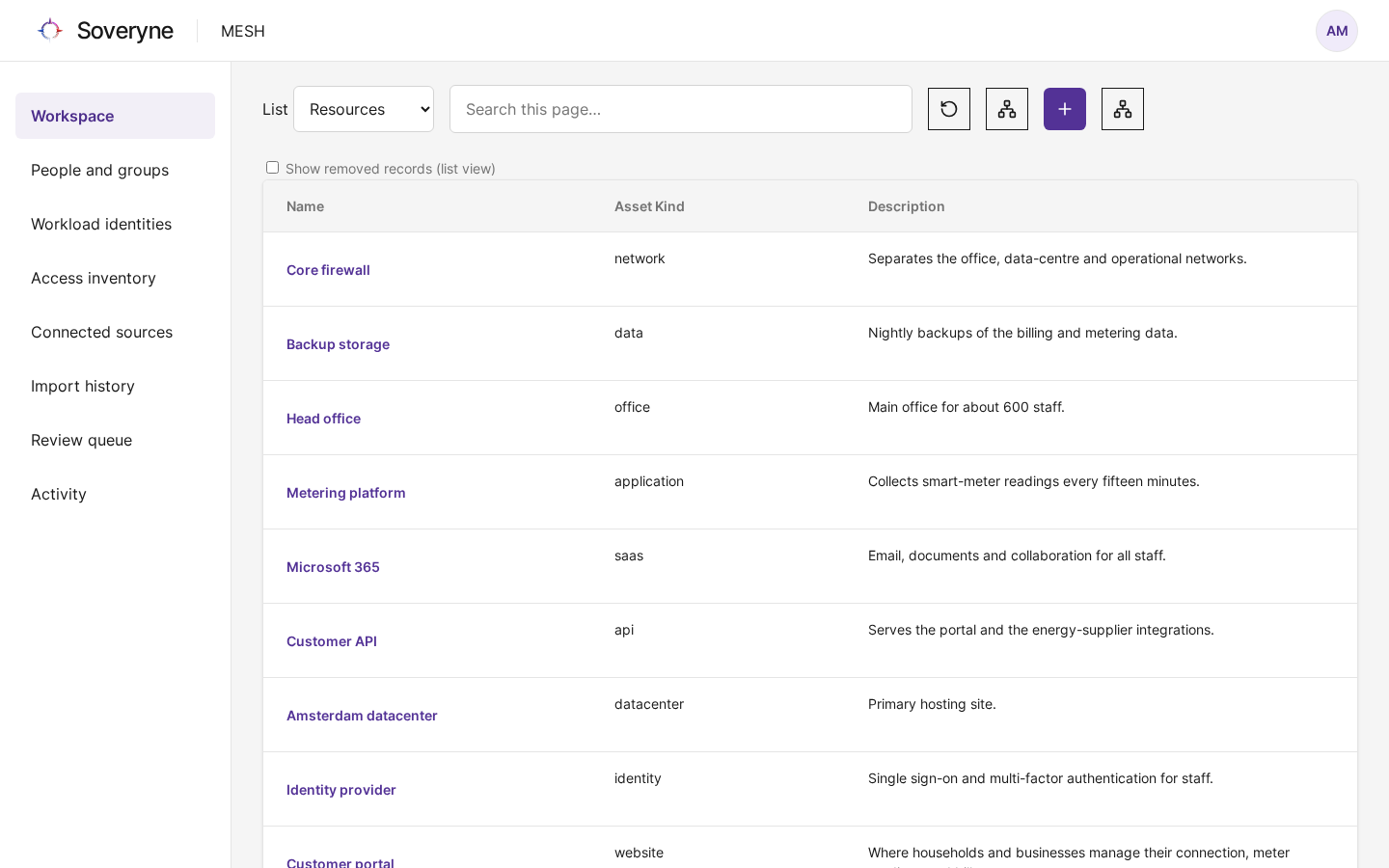 The Workspace list view showing assets and context entities with their kind and description